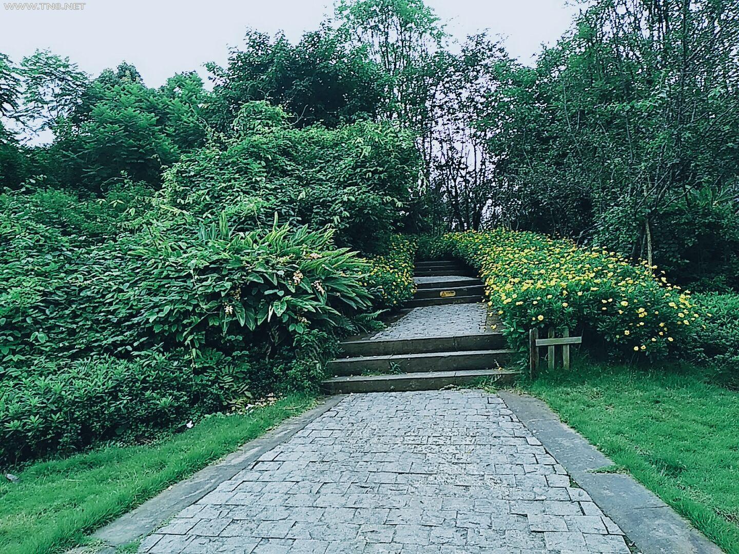 从这条绿油油的小路上去，可看见不一样的风景，上面也有亭子可以供大家休息的。