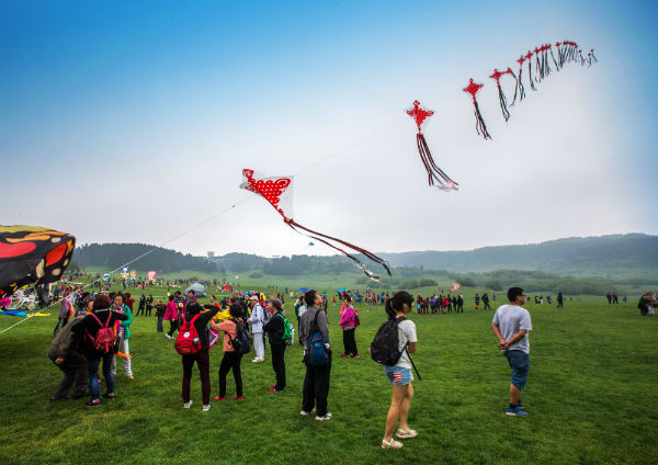 仙女山举办西南最大风筝盛会 7国顶尖高手同场竞技