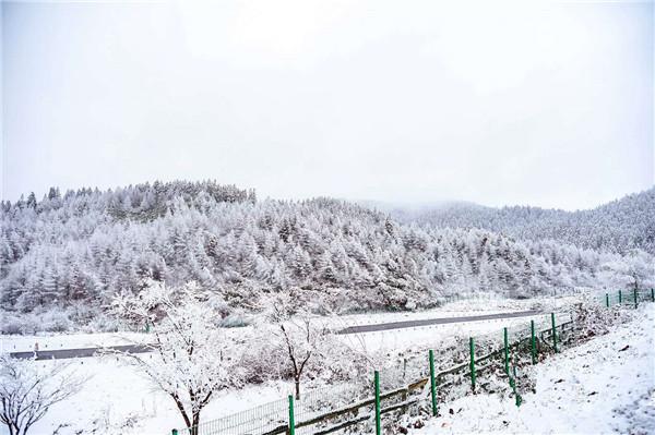 武隆仙女山雪景