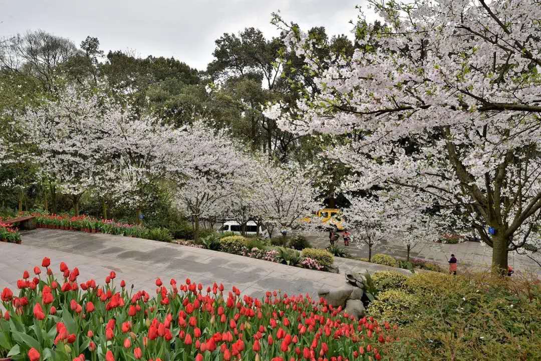 南山植物园1.jpg