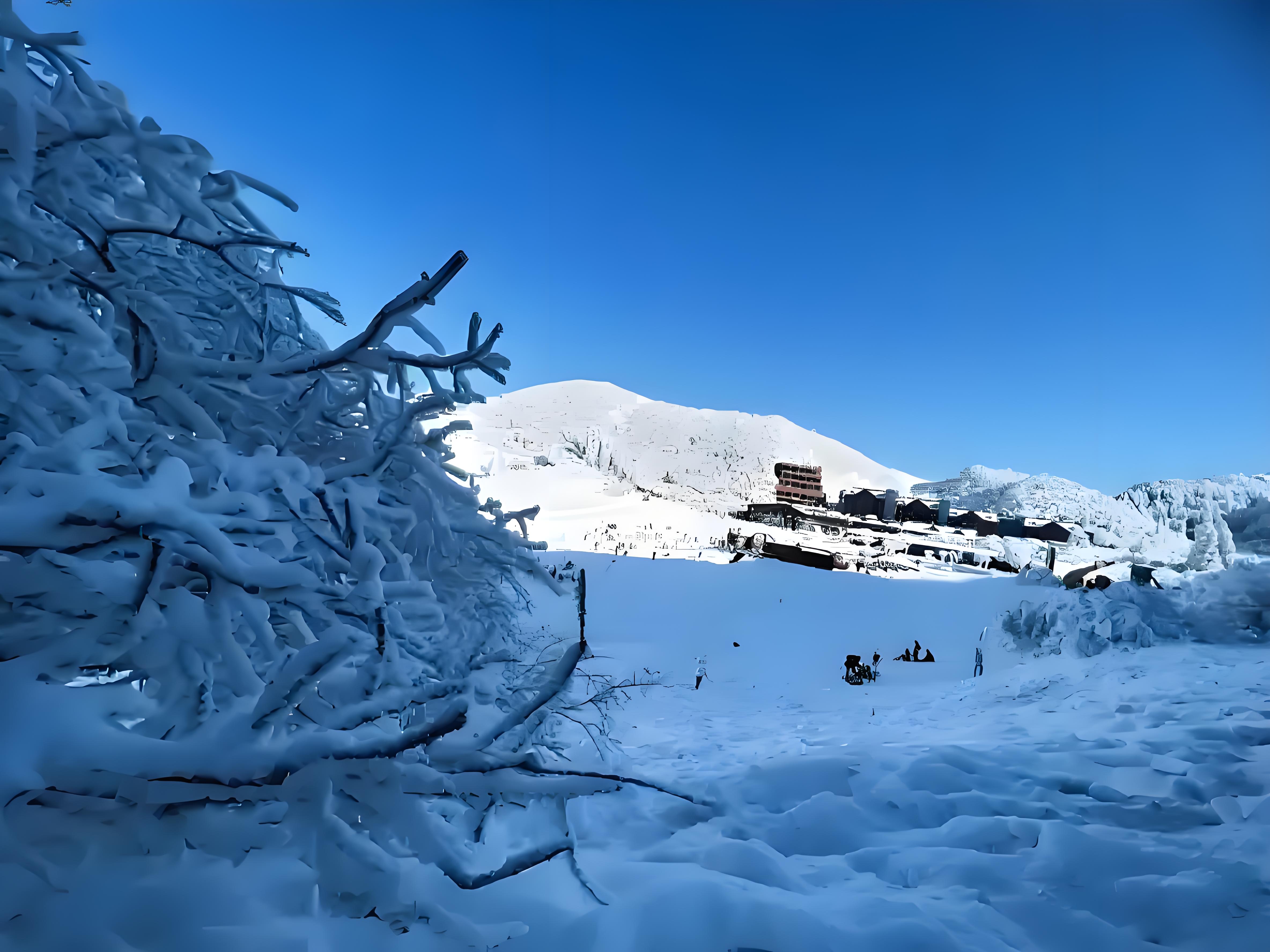 金佛山雪景3.jpg